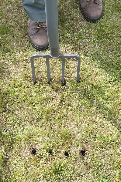Man using fork to aerating garden lawn, close-up