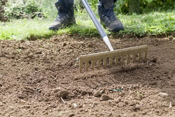 Man using rake on soil in garden