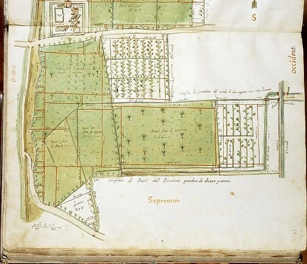 Map of country estates of the Court of the Gualtirolo, Commune of Campegine in Castelnuovo di Sotto, Reggio Emilia, details, ink and watercolor on paper, 1704-1705