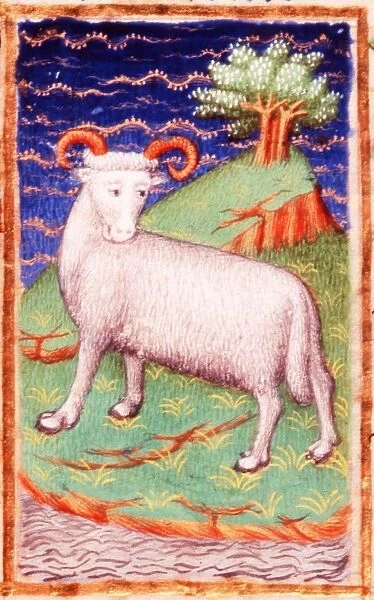 March, Astrological sign of Aries, Ram