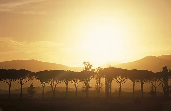 Maremma landscape. Tuscany. Italy
