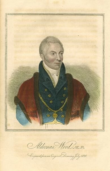 Matthew Wood (1768-1843) English political and municipal reformer. Serge manufacturer
