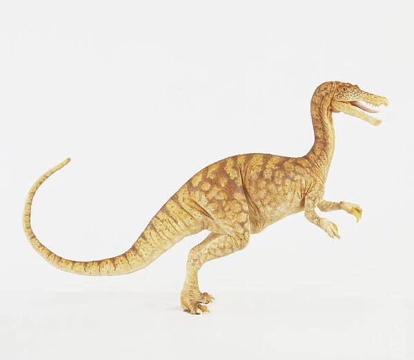 Model of a Baryonyx dinosaur (Baryonyx walkeri), side view