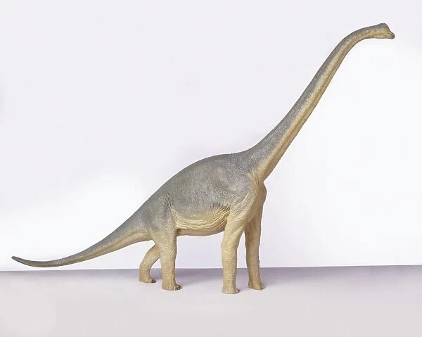 Model of Brachiosaurus, side view