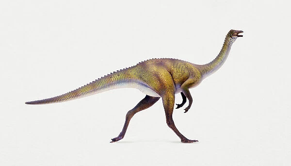 Model of Gallimimus dinosaur