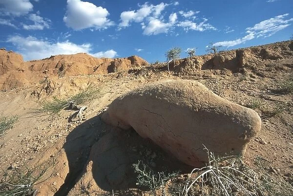 Mongolia, Gobi Desert, Bayanzag Valley, Fossilized dinosaur bones