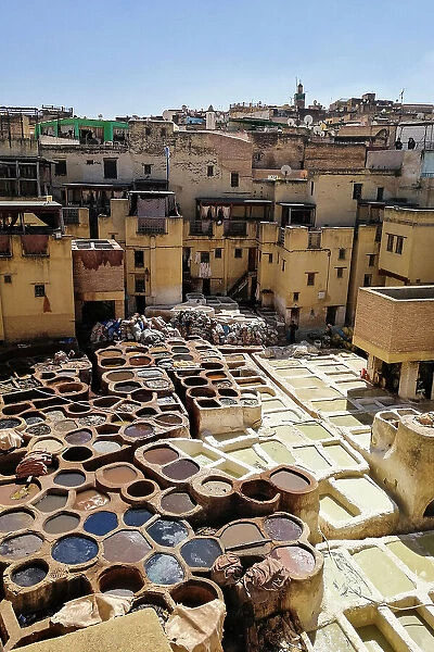 Morocco, Fes, tannery