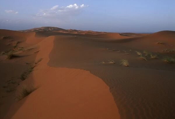 Morocco, Sahara Desert, Merzouga dunes, Sand dunes