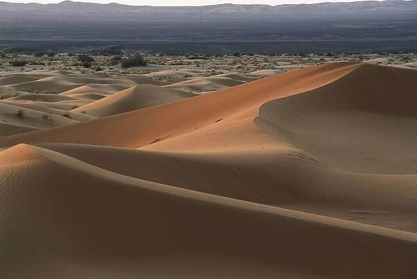 Morocco, Sahara Desert, Merzouga dunes