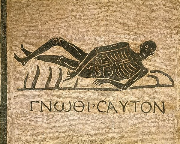 Mosaic depicting human skeleton with inscription Know thyself