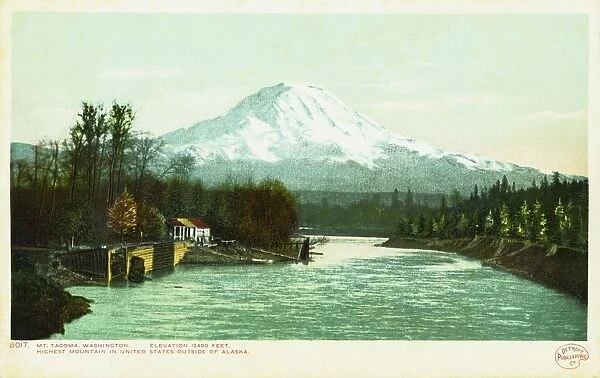Mt. Tacoma, Washington Postcard. ca. 1905-1930, Mt. Tacoma, Washington Postcard