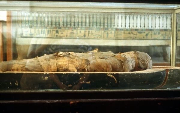 Mummy wrapped in bandages and lying on base of coffin. Cairo Museum. Egypt
