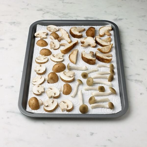 Mushrooms laid out to dry on kitchen paper on a baking tray, including shimeji, shiitake and chestnut mushrooms