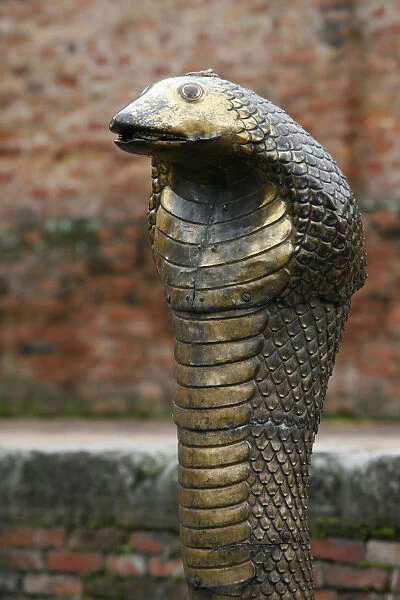 Naja snake in Bhaktapur royal palace