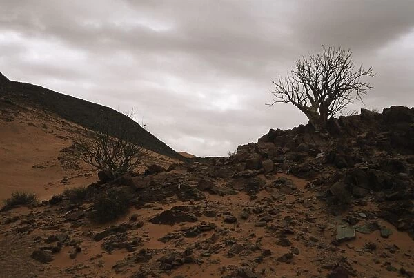 Namibia, Kunene Region, Serra Cafema, rocky desert