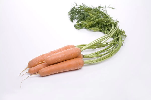 Nantes carrots on white background