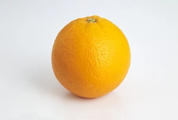 Navel Orange on white background