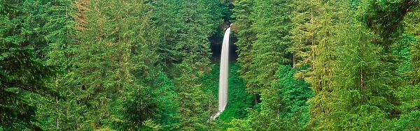 This is the Northern Falls. It has a 136 Foot single cascade. It is located in Silver Falls State Park