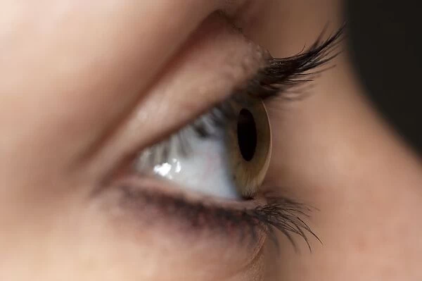 Open eye of young woman showing hazel pupil and brown eyelashes