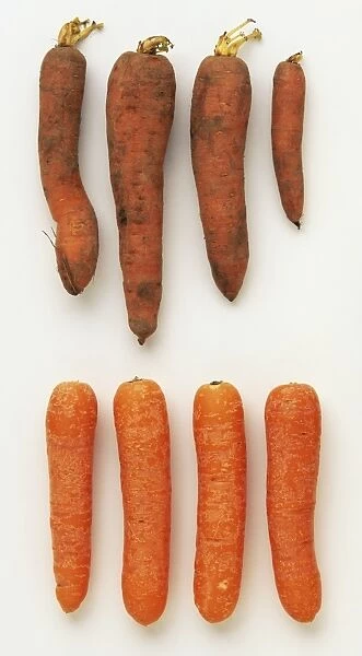 Organic and non-organic carrots