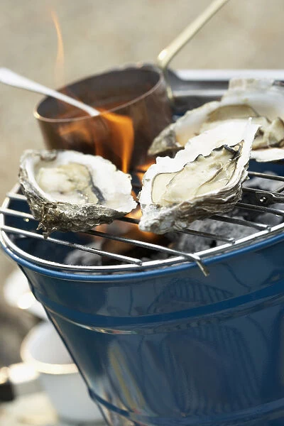 Oysters and saucepan on barbecue grill