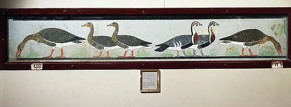 Painting depicting Meidum geese