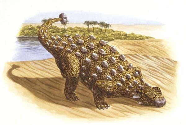 Palaeozoology, Cretaceous period, Dinosaurs, Talarurus, illustration by G. Rosewarne