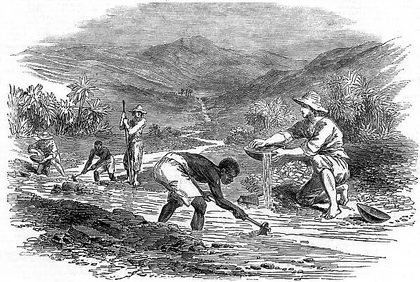 Panning for gold during the Californian Gold Rush of 1849. From The Illustrated London