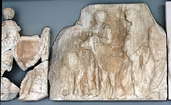 Parthenon frieze depicting women leading rams