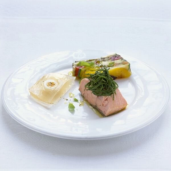 Pave salmon terrine served on white plate