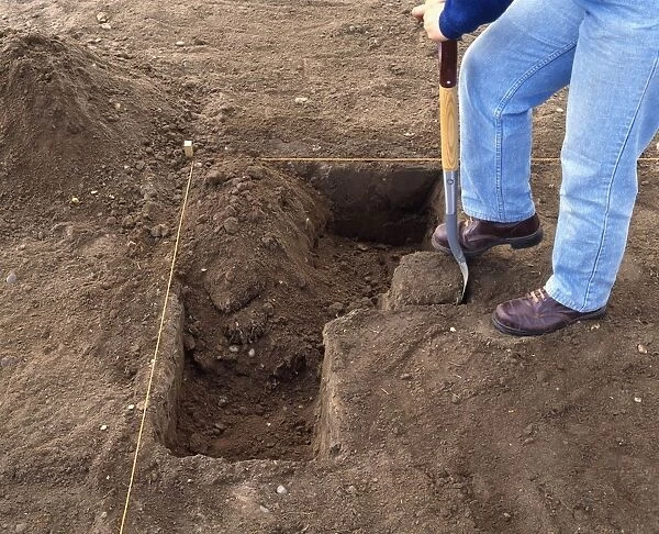 Person digging with spade in marked-out area of soil