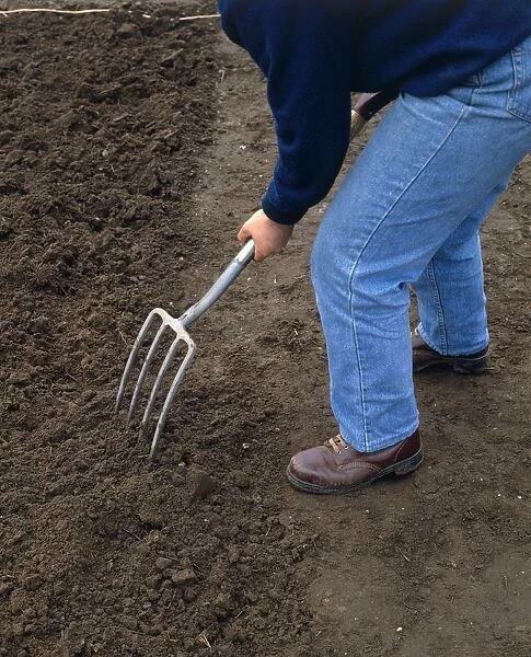 Person forking over moist soil