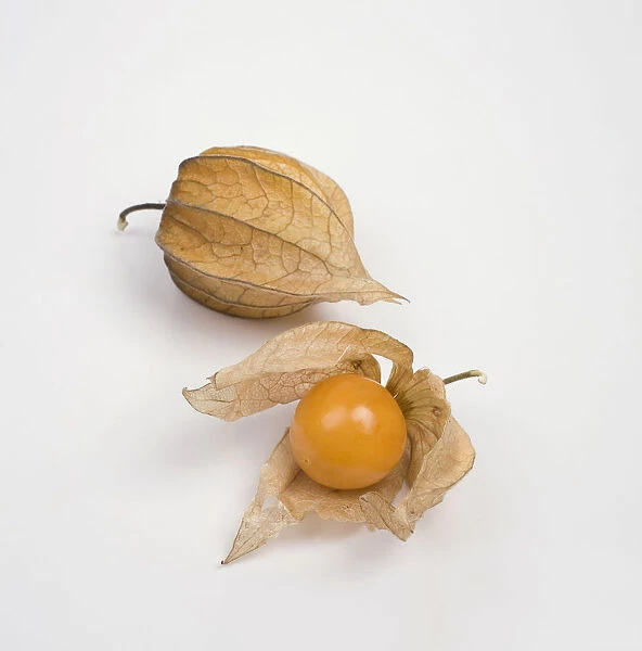 Physalis on white background, close-up