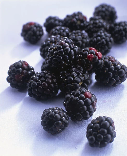 A pile a fresh blackberries