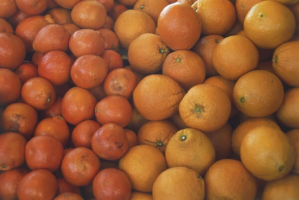 Piled Oranges and Tangerines
