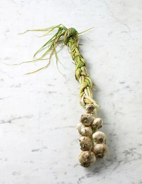 Plaited garlic bulbs