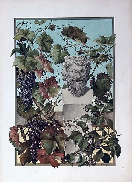 The Plant, Grapes, Bacchus, Wine, Mythology, Vine