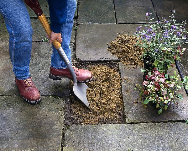 Planting in a patio, preparing the soil