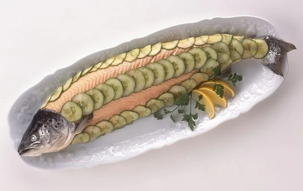 Poached salmon garnished with sliced cucumber, a typical Scottish dish, view from above
