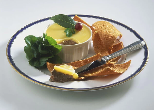 Potted venison served on a blue-rimmed white plate, with a cress garnish and corn chips, high angle view
