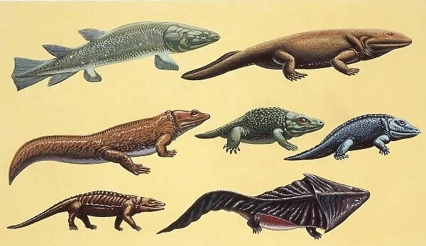 Prehistoric reptiles, illustration