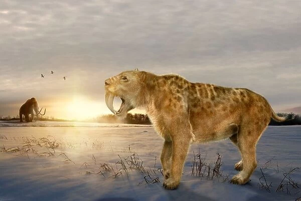 A prehistoric scene with a smilodon (early sabre-toothed cat) in the foreground and a mammoth in the distance