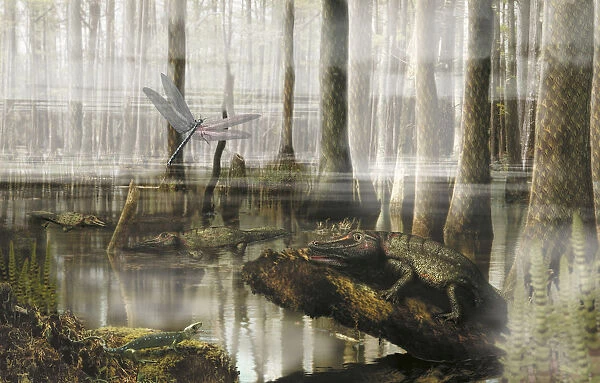Prehistoric swamp forest landscape with Hylonomus, Eryops and arthropod, front view
