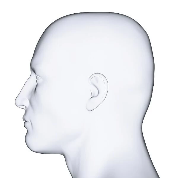 Profile of mans head