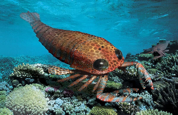 Pterygotus, pre-historic sea scorpion