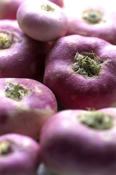 Purple baby turnips, close-up