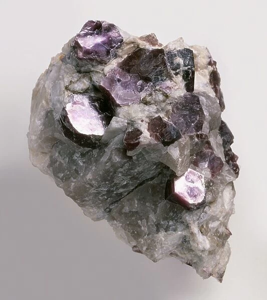 Purple lepidolite crystals in pegmatitic groundmass