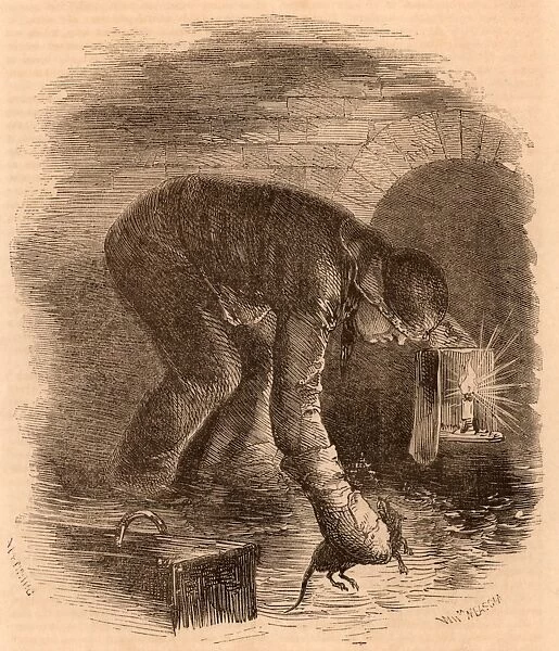 The Rat-Catchers of the Sewers. Rat catchers were vital to keeping down the rat population