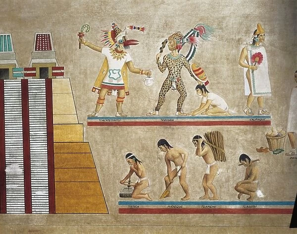 Reconstruction of Aztec social organization