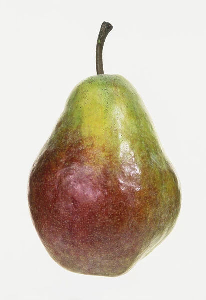 A red and green pear